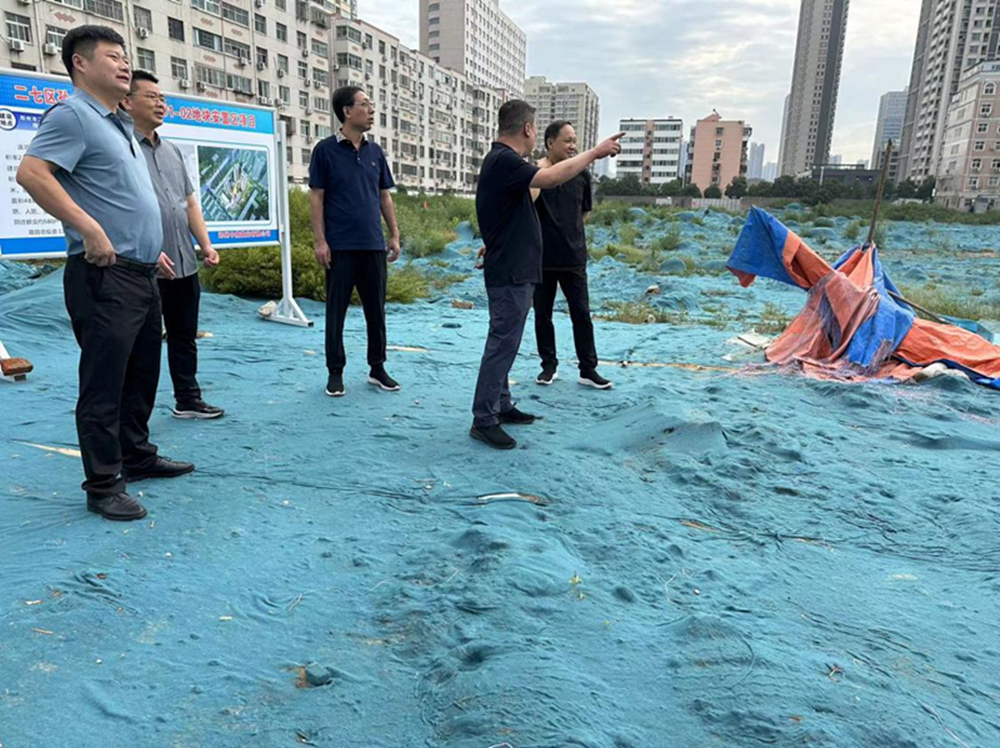 华体会平台-华体会（中国）一站式服务平台
党委委员、副总经理张岩到侯寨新镇区安置区调研项目建设工作