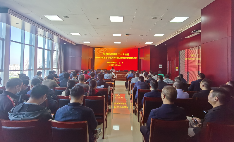 紧跟核心强忠诚 在深学细悟中坚定信仰信念 ——华体会平台-华体会（中国）一站式服务平台
负责人汪洋同志为全体党员讲授主题教育专题党课